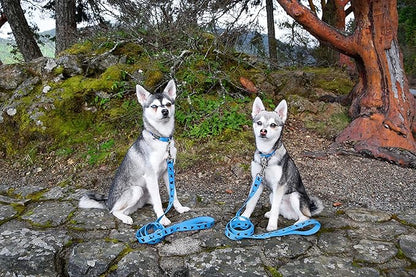 EcoBark Dog Leash - Soft & Reflective Comfort Training Leashes with Padded Handle - Strong Durable Heavy Duty - Training and Pulling for Small, Medium or Large Dogs (Sky Blue)