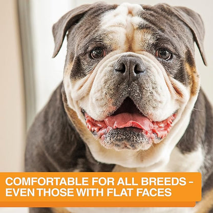 Neater Feeder 9 Peak