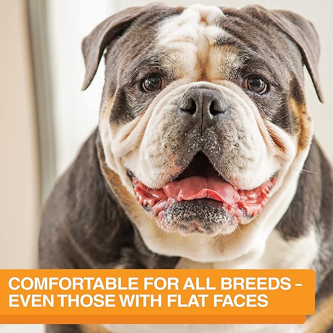 Neater Feeder 9 Peak