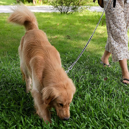 Chew Proof Metal Leash Chain Dog Leash for Medium Large Dogs 5FT Strong