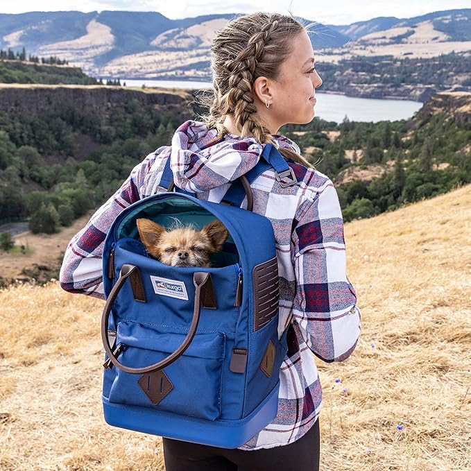 Kurgo Nomad Dog Carrier Backpack, Hiking Backpack for Small Dogs, Pet Travel Back Pack Carrier, Interior Safety Tether, Waterproof Bottom, Dual Carry Handles, Holds Pets Up to 15 lbs, Blue