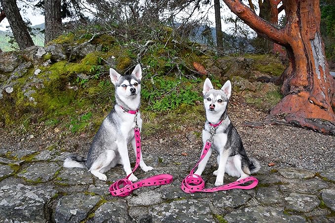 EcoBark Dog Leash - 4 FT / 5 FT / 6 FT Reflective Dog Leash- Eco-Bright Dog Leashes with Padded Handle - Strong Heavy Duty Dog Leash - Nylon Dog Leash for Small and Medium Dogs (Pink Dog Leash)