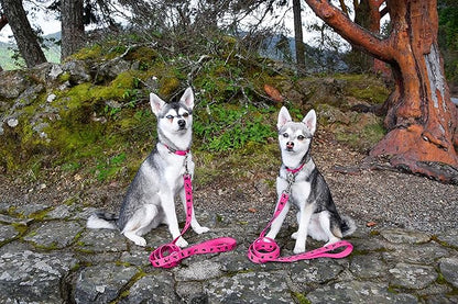 EcoBark Dog Leash - Soft & Reflective Comfort Training Leashes with Padded Handle - Strong Durable Heavy Duty - Training and Pulling for Small, Medium or Large Dogs (Pink)