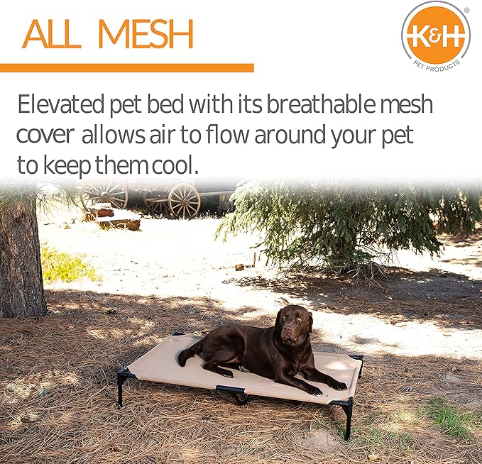 K&H Pet Products Elevated Outdoor Dog Cot Bed