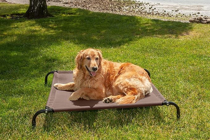 Furhaven Elevated Dog Bed for Medium/Small Dogs
