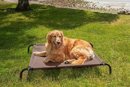 Furhaven Elevated Dog Bed for Medium/Small Dogs