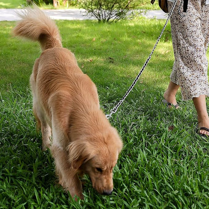 Chew Proof Metal Leash Chain Dog Leash for Medium Large Dogs 5.2FT Strong