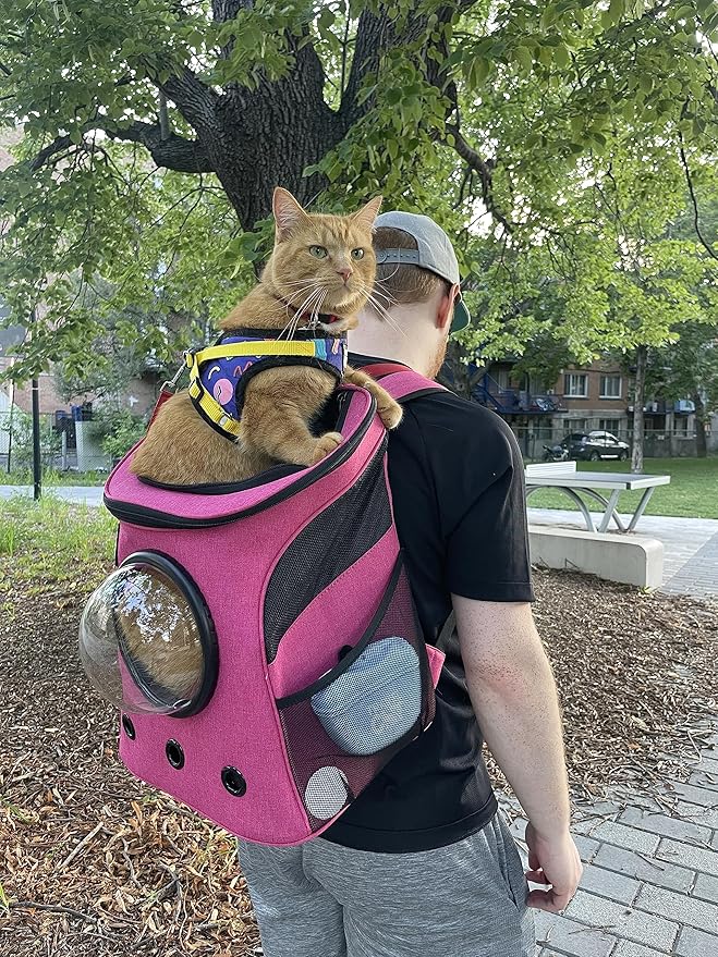 Fat Cat Backpack Carrier - Airline Approved Cat Carrier with Space Capsule Bubble for for Small Cats, Kitten - Premium Deep Rose Pink Cat Carrier Backpack for Outdoor, Travel, Hiking, Pet Supplies