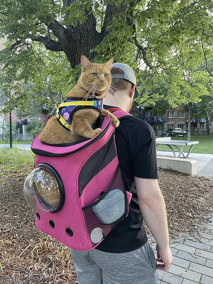 Fat Cat Backpack Carrier - Airline Approved Cat Carrier with Space Capsule Bubble for for Small Cats, Kitten - Premium Deep Rose Pink Cat Carrier Backpack for Outdoor, Travel, Hiking, Pet Supplies