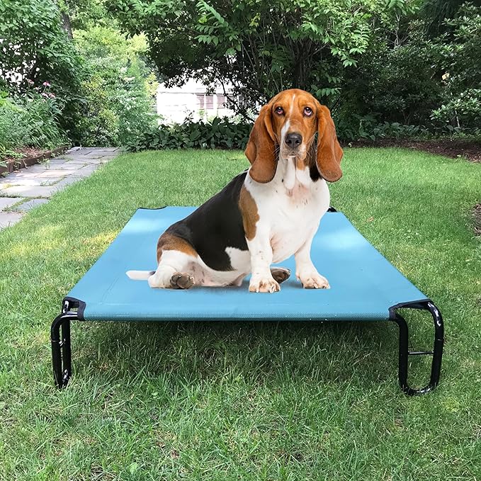 Elevated Dog Bed 35 x 28 x 8 inches