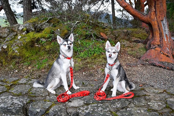 EcoBark Dog Leash - Soft & Reflective Comfort Training Leashes with Padded Handle - Strong Durable Heavy Duty - Training and Pulling for Small, Medium or Large Dogs (Red)