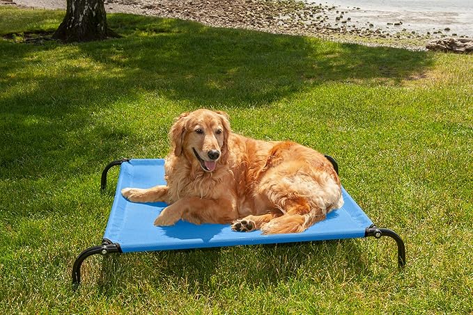 Furhaven Elevated Dog Bed for Medium/Small Dogs