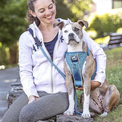 Kurgo Tru-Fit Smart Harness, Dog Harness, Pet Walking Harness, Quick Release Buckles, Front D-Ring for No Pull Training, includes Dog Seat Belt Tether (Blue, X-Small)