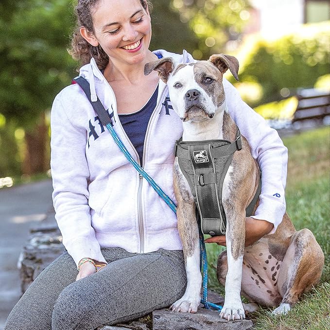 Kurgo Tru-Fit Smart Harness, Dog Harness, Pet Walking Harness, Quick Release Buckles, Front D-Ring for No Pull Training, includes Dog Seat Belt Tether (Grey, Large)